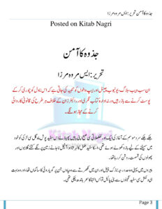 Jazwa Ka Amin جزا کا امین Urdu Edition S Merwa Mirza Kitap Kapağı