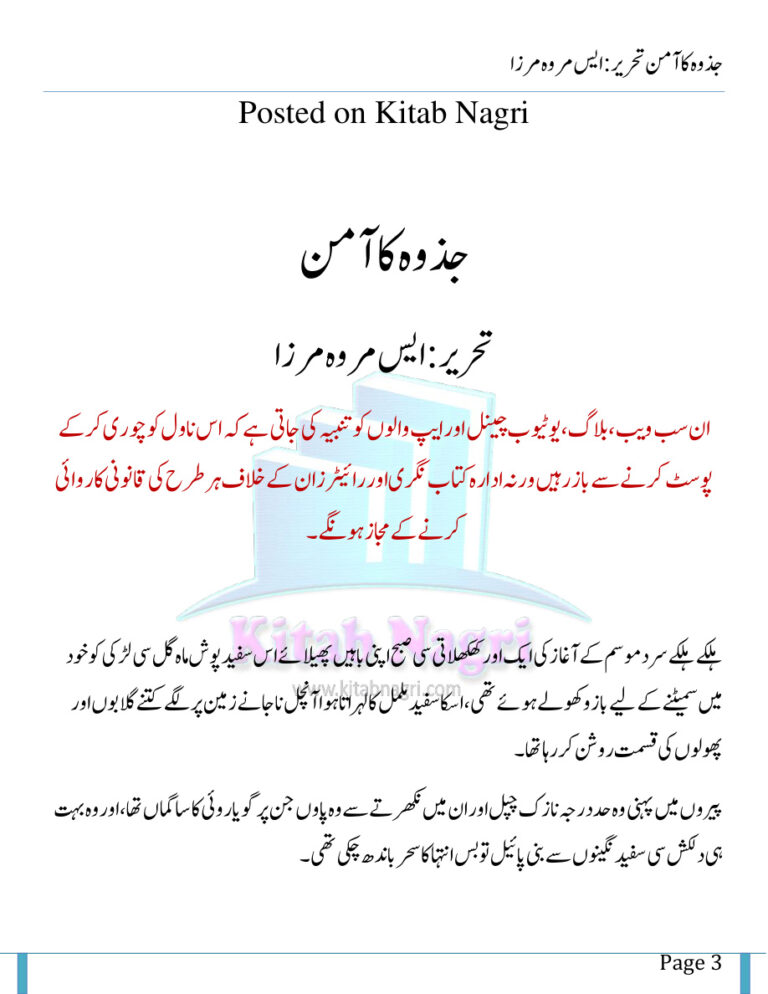 Jazwa Ka Amin جزا کا امین Urdu Edition S Merwa Mirza Kitap Kapağı