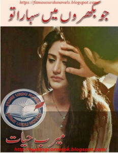 Jo Bikhron Main Sahara Tu جس بیچرون میں سہارا ٹو Urdu Edition Meerab Hayat Kitap Kapağı