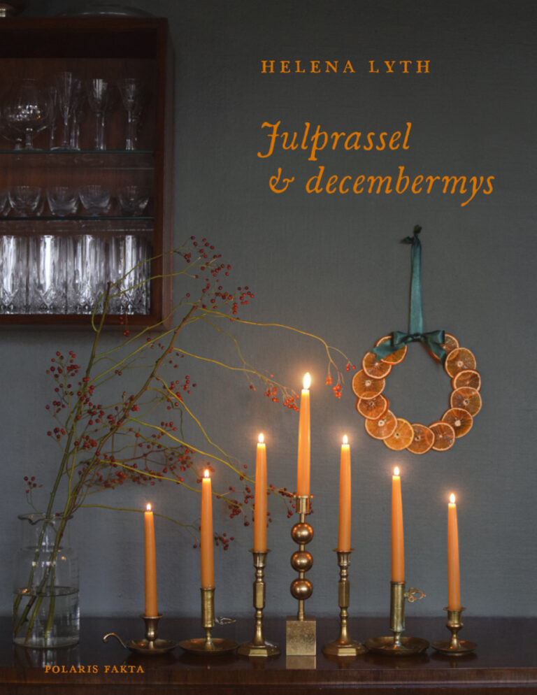 Julprassel och decembermys Swedish Edition Helena Lyth Kitap Kapağı
