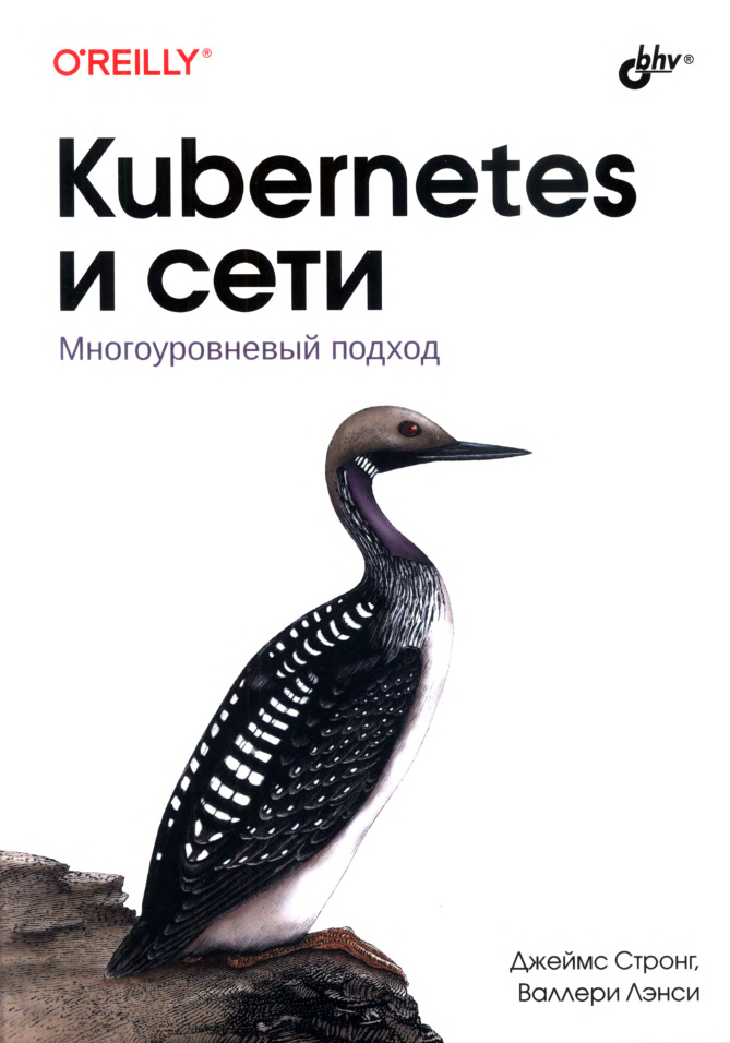 Kubernetes и сети Многоуровневый подход Russian Edition Джеймс Стронг Kitap Kapağı