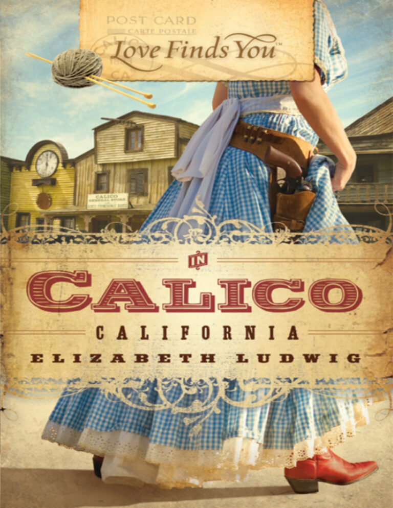 Love Finds You in Calico California Elizabeth Ludwig Kitap Kapağı