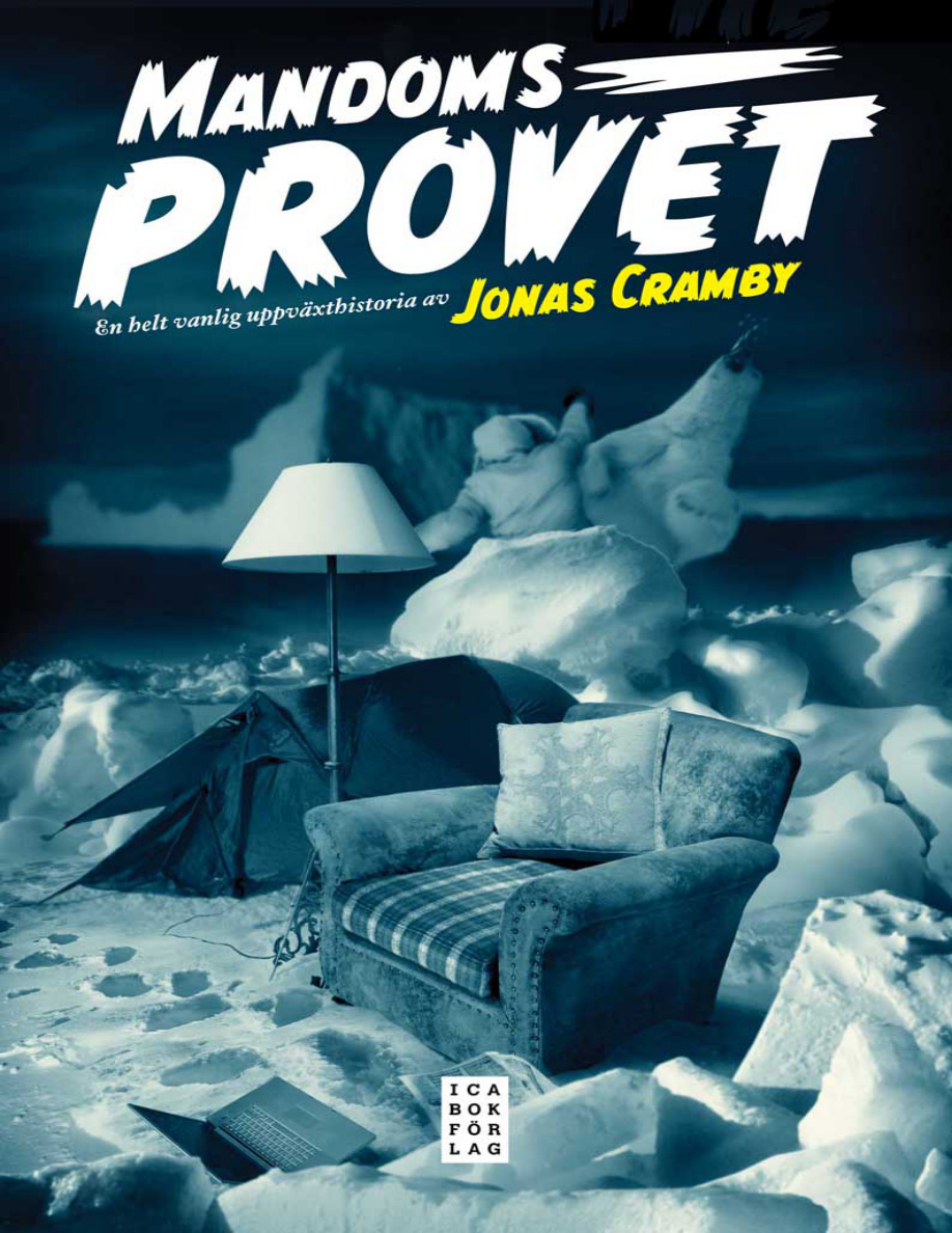 Mandomsprovet PDF Download