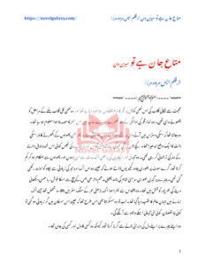 Mata e Jaan Hai Tu آپ میری ماں اور باپ ہیں۔ Urdu Edition S Merwa Mirza Kitap Kapağı