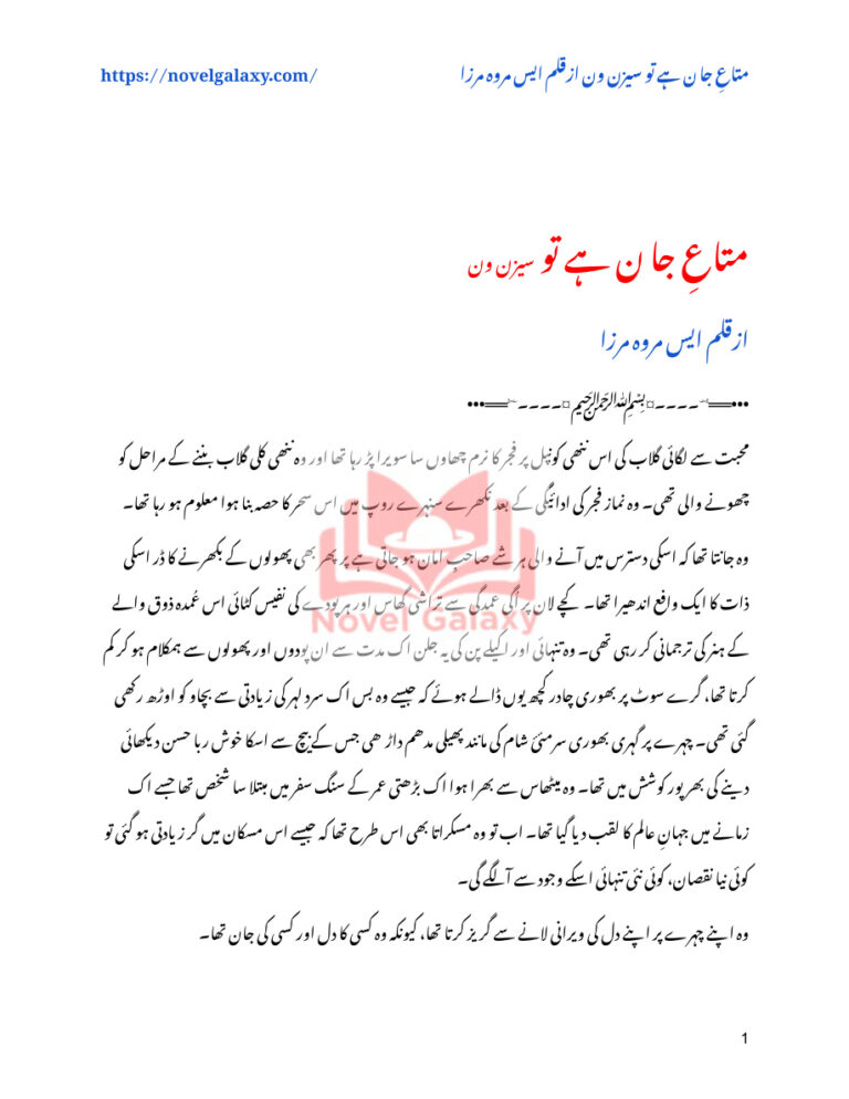 Mata e Jaan Hai Tu آپ میری ماں اور باپ ہیں۔ Urdu Edition S Merwa Mirza Kitap Kapağı