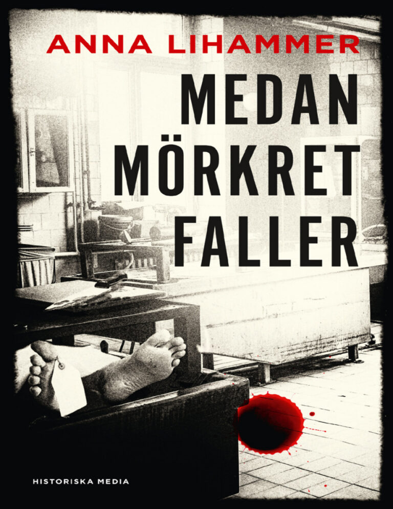 Medan mörkret faller PDF Download – Lihammer Anna