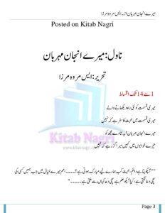 Mere Anjan Humsafar میرے انجان ہمسفر Urdu Edition S Merwa Mirza Kitap Kapağı