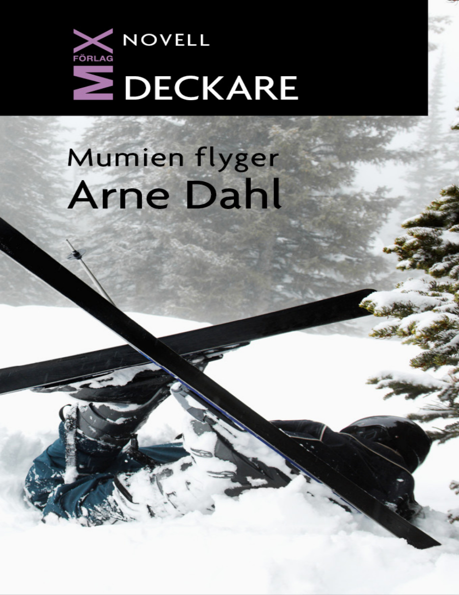 Mumien flyger PDF Download