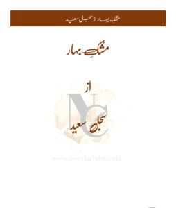 Mushk e Bahar مشبہ بہار Urdu Edition Sajal Saeed Kitap Kapağı