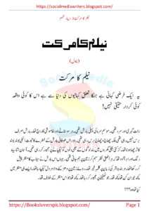 Neelam Ka Markat نیلم کا بازار Urdu Edition Deeba Tabassum Kitap Kapağı