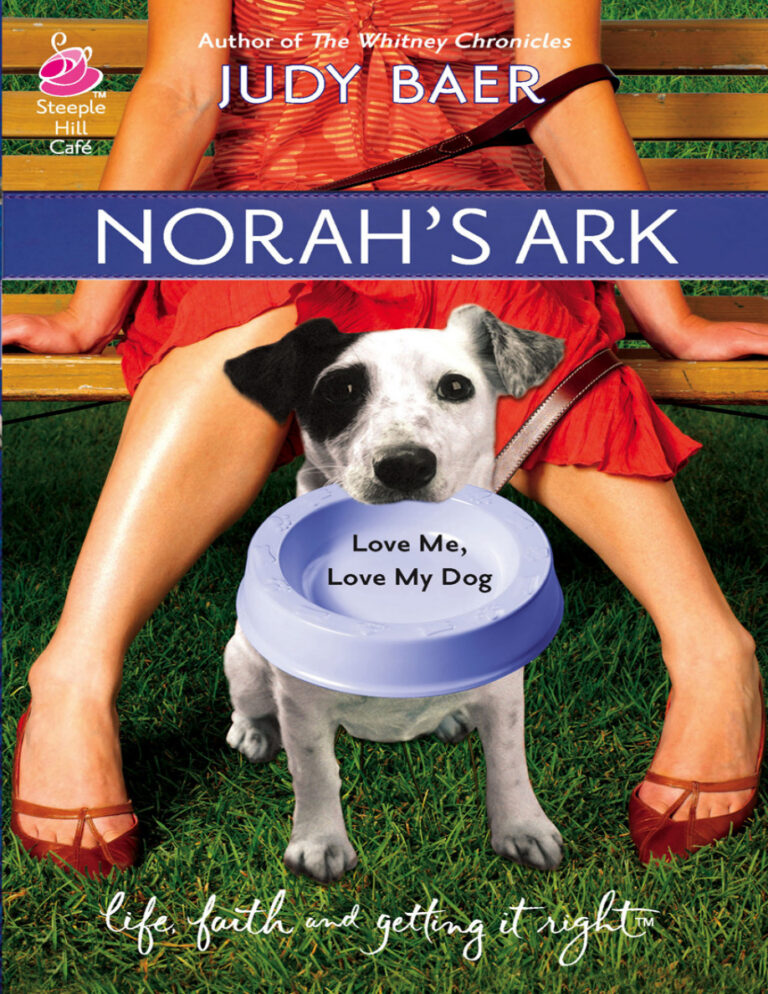 Norahs Ark Judy Baer Kitap Kapağı