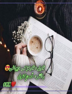 Novels Ki Dewani ناولز کی دیوانی Urdu Edition Husny Kanwal Kitap Kapağı