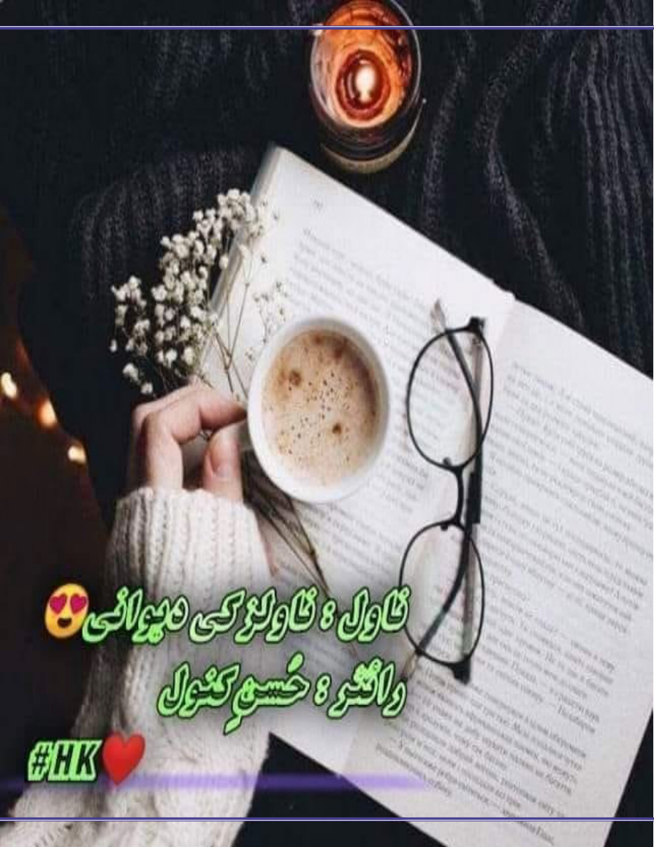 Novels Ki Dewani PDF Download