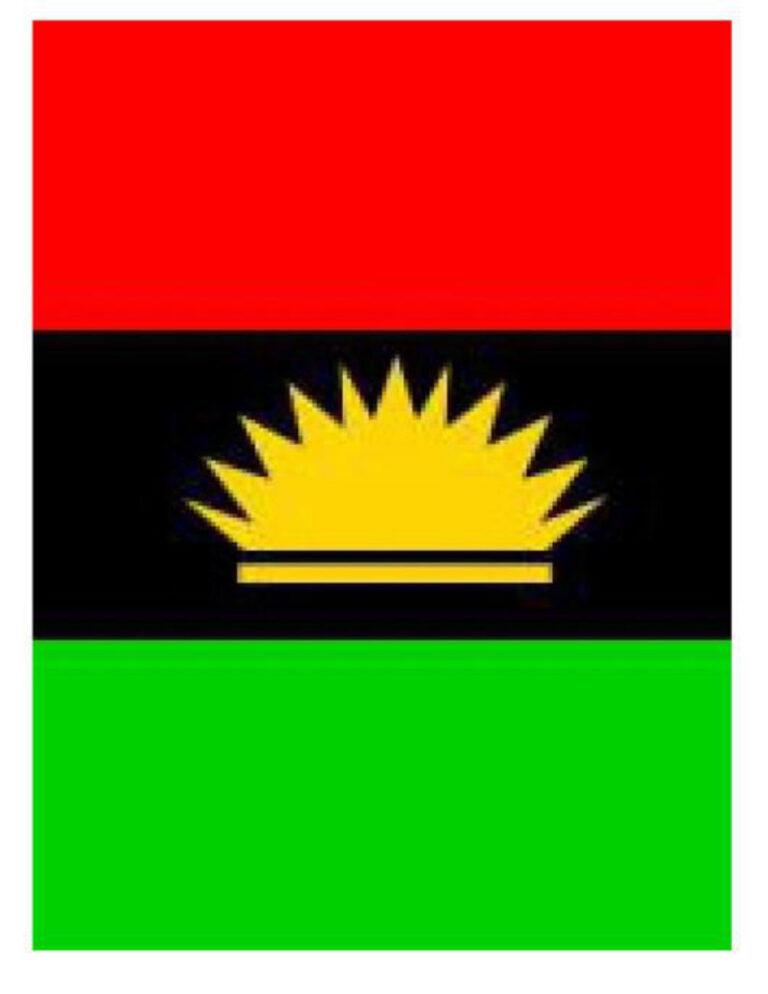 Operation Biafran Babies Wallstrom Tord Kitap Kapağı