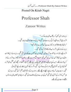 Professor Shah پروفیسر شاہ Urdu Edition Zanoor Writes Kitap Kapağı