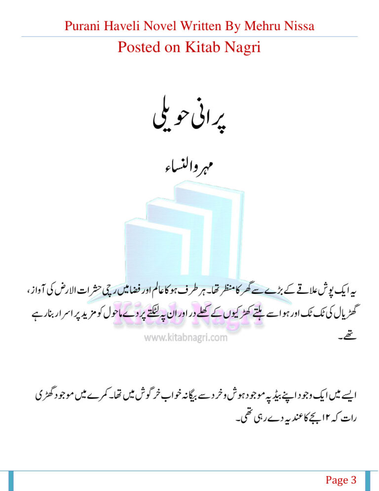 Purani Haveli پرانی حویلی Urdu Edition Mehru Nissa Kitap Kapağı