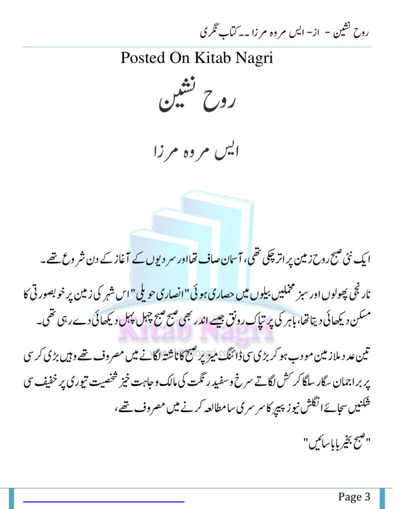 Rooh Nasheen روح نشین Urdu Edition S Merwa Mirza Kitap Kapağı