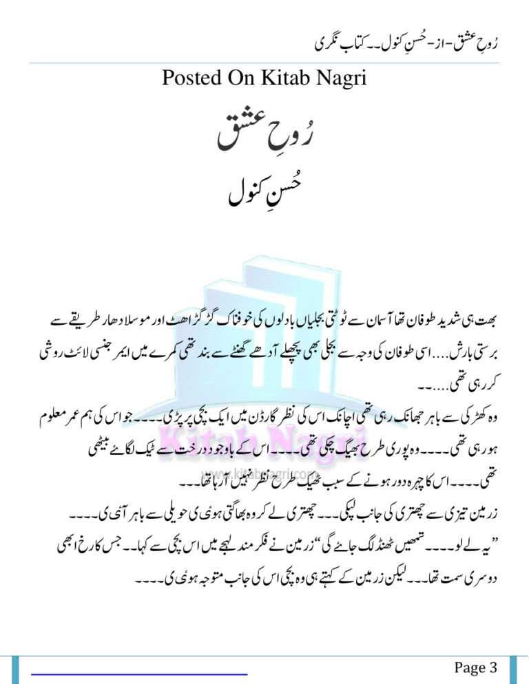 Rooh e Ishq روح اور محبت Urdu Edition Husny Kanwal Kitap Kapağı