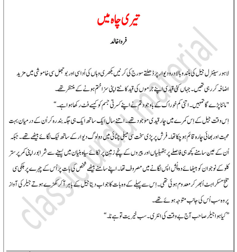 Teri Chah Mein میری خواہش میری ہے۔ Urdu Edition Farwa Khalid Kitap Kapağı