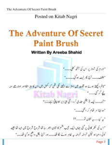 The Adventure Of Secret Paint Brush خفیہ پینٹ برش کا ایڈونچر Urdu Edition Areeba Shahid Kitap Kapağı