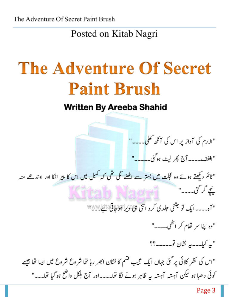 The Adventure Of Secret Paint Brush خفیہ پینٹ برش کا ایڈونچر Urdu Edition Areeba Shahid Kitap Kapağı