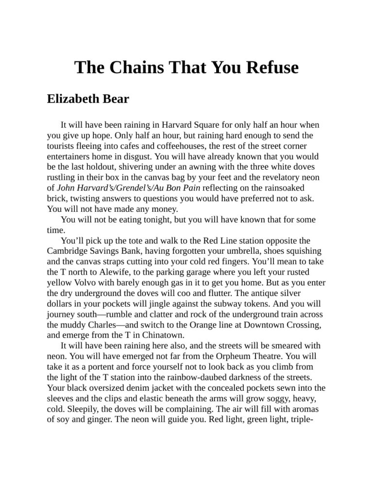 The Chains That You Refuse Elizabeth Bear Kitap Kapağı
