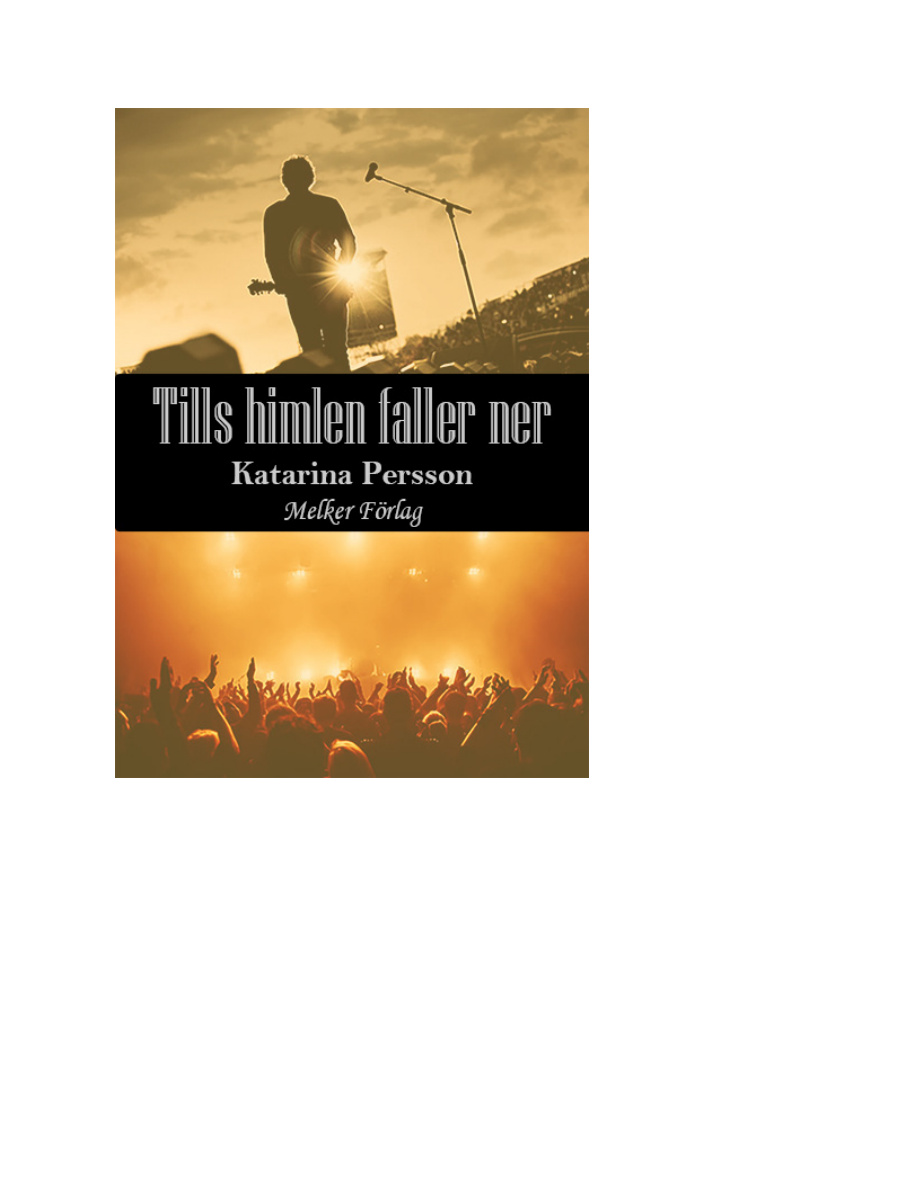 Tills himlen faller ner PDF Download
