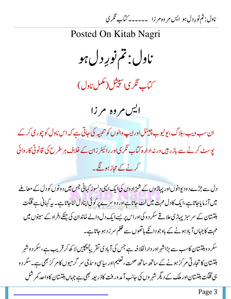 Tum Noor E Dil Ho آپ نور اور دل ہیں۔ Urdu Edition S Merwa Mirza Kitap Kapağı