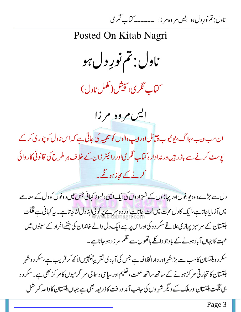 Tum Noor E Dil Ho PDF Download