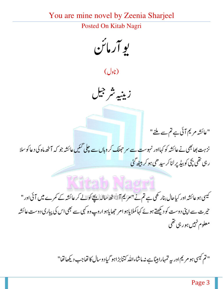 You Are Mine تم میرے ہو Urdu Edition Zeenia Sharjeel Kitap Kapağı
