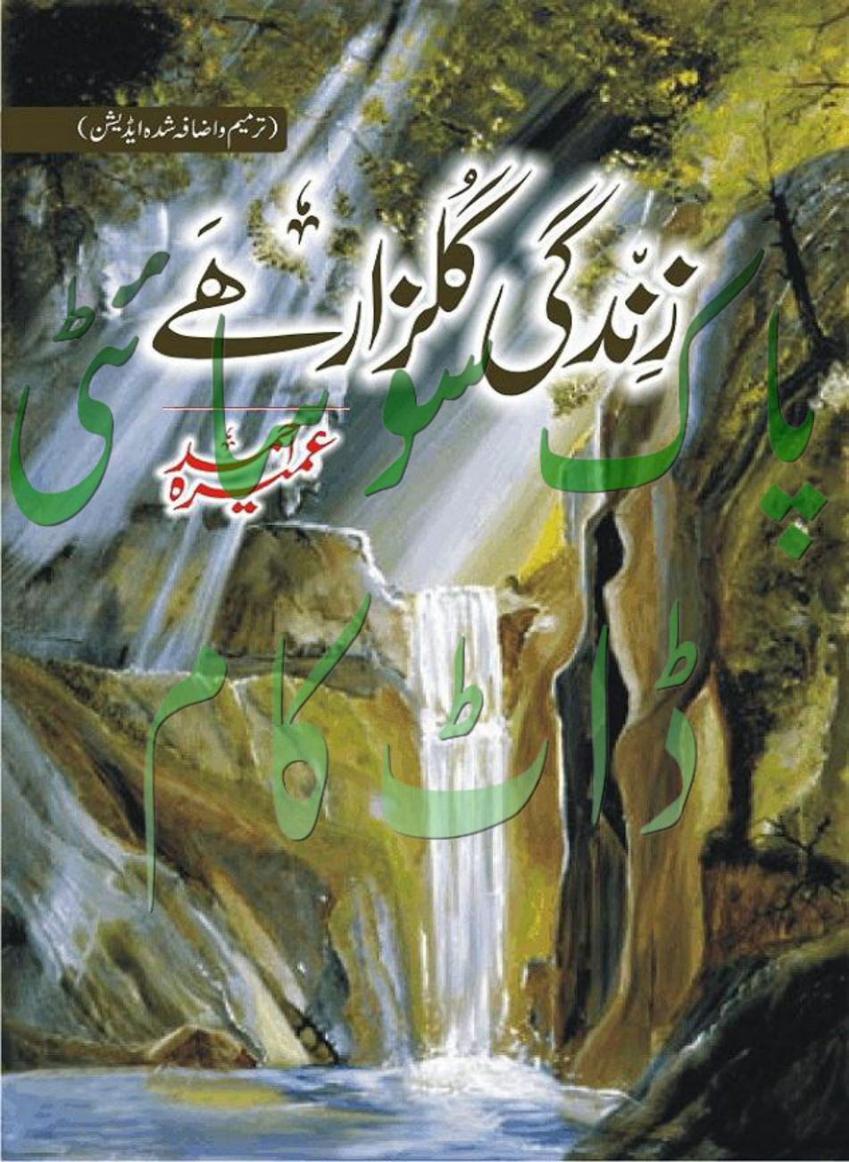 Zindagi Gulzar Hai PDF Download