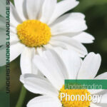 understanding phonology Fourth edition Kitap Kapağı