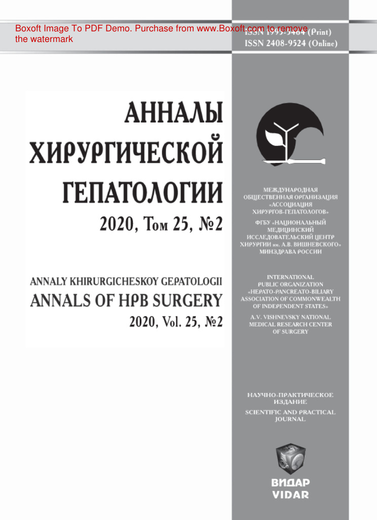 Анналы хирургической гепатологии № 2 Russian Edition коллектив авторов Kitap Kapağı