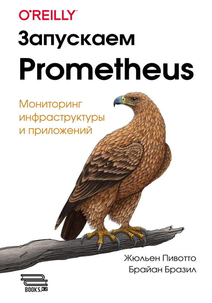 Запускаем Prometheus PDF Download