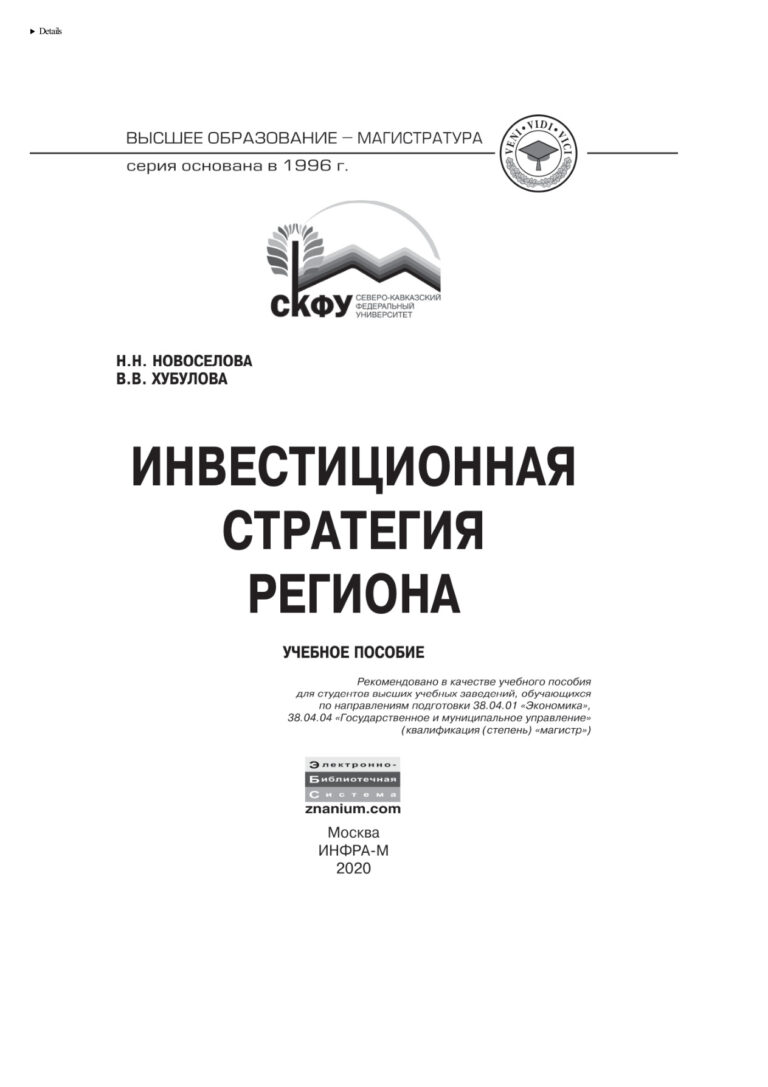 Инвестиционная стратегия региона Russian Edition Новоселова Наталья Николаевна Kitap Kapağı
