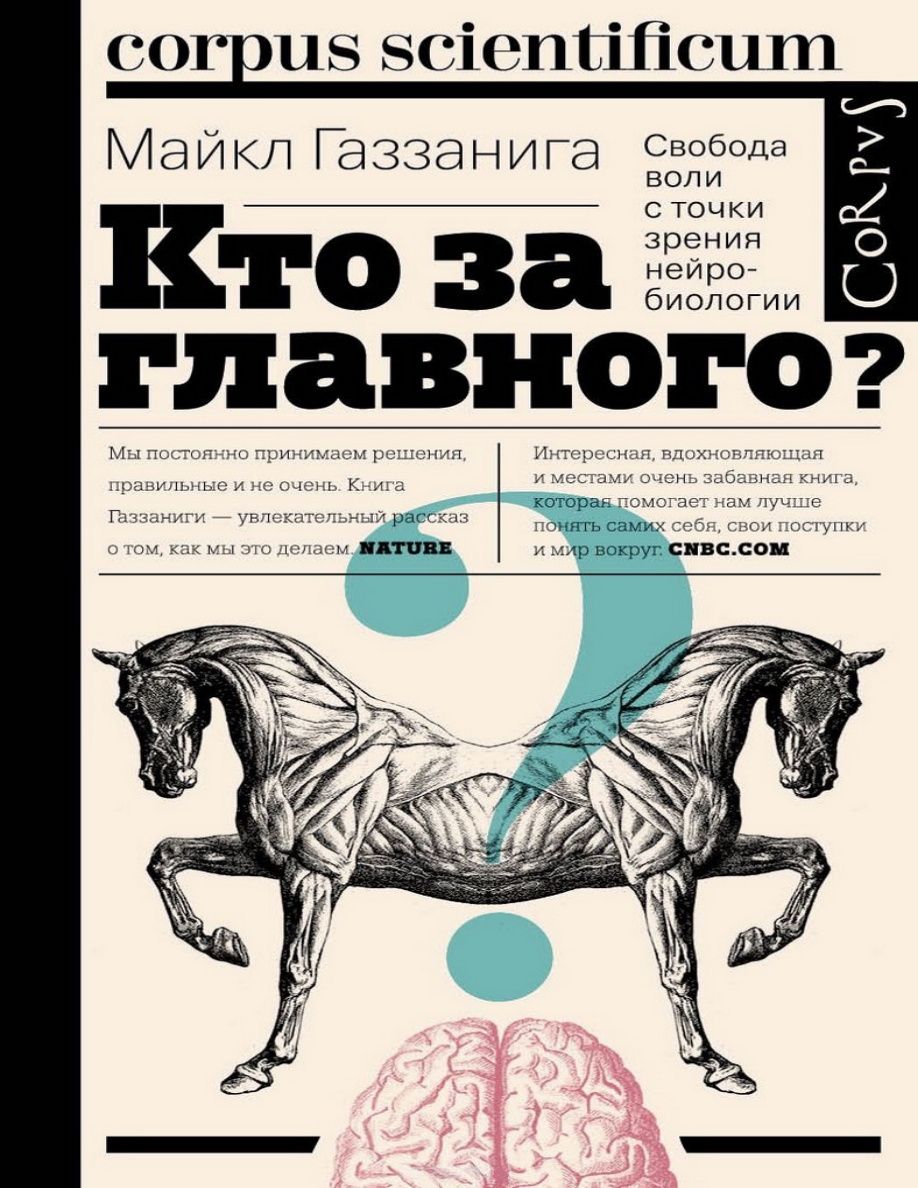 Кто за главного PDF Download