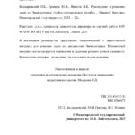 Руководство к решению задач по Эконометрике Russian Edition Болдыревский П Б Kitap Kapağı