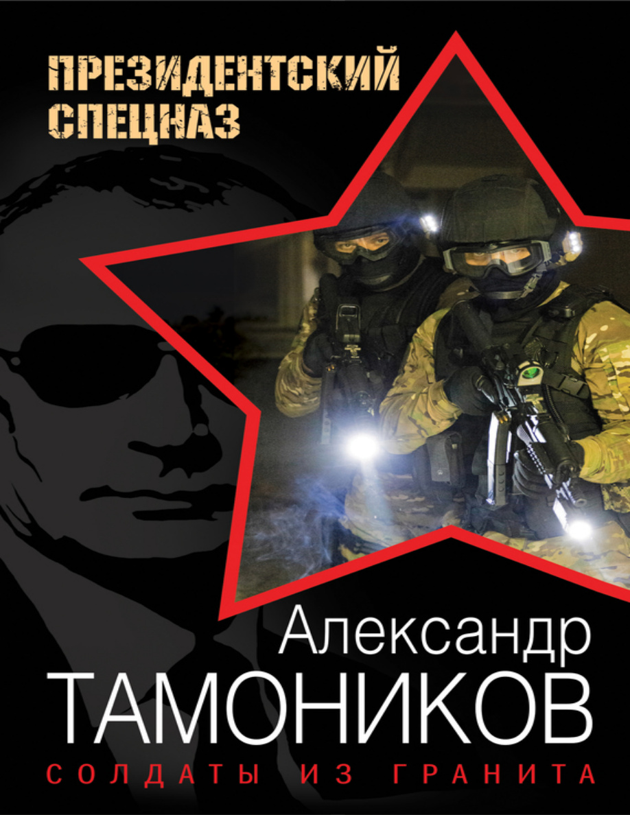 Солдаты из гранита PDF Download