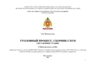 Уголовный процесс Сборник схем Russian Edition Шаповалова Т И Kitap Kapağı
