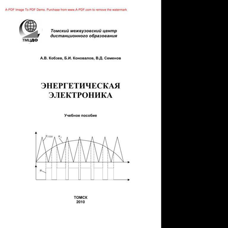 Энергетическая электроника Учебное пособие Russian Edition Кобзев АВ Kitap Kapağı