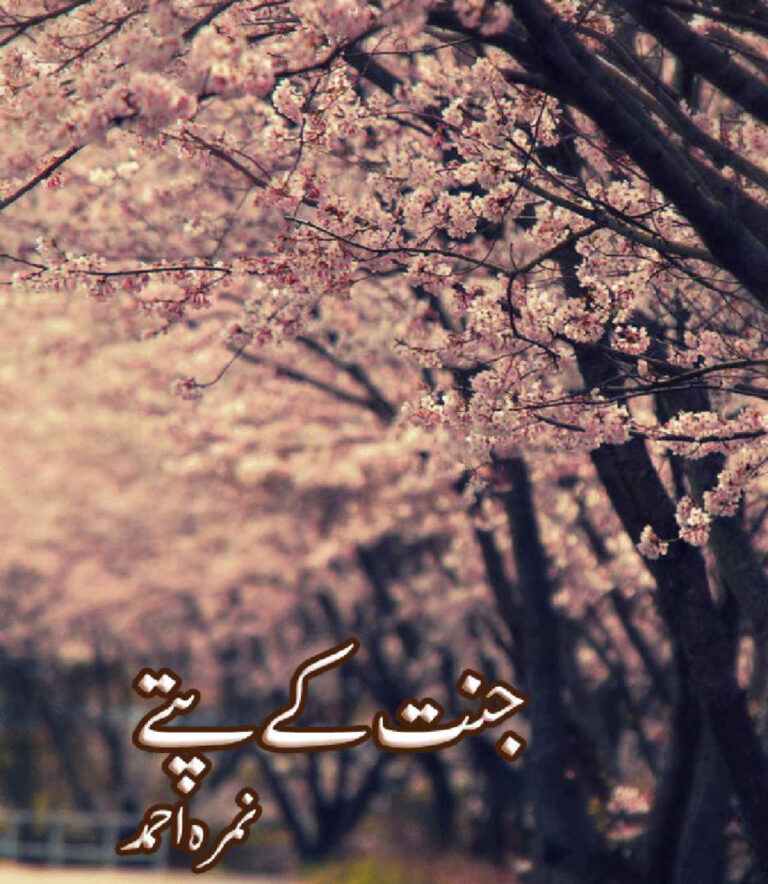 جنت کے پاتے نمرہ احمد Kitap Kapağı