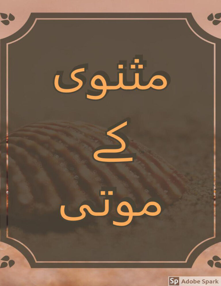 مسنوی کے موتی مولانا جلال الدین رومی۔ Kitap Kapağı