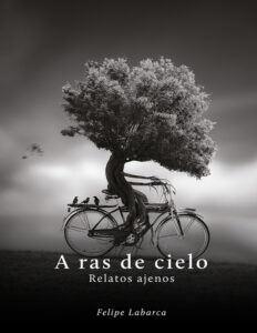 A ras de cielo Spanish Edition Felipe Labarca Kitap Kapağı
