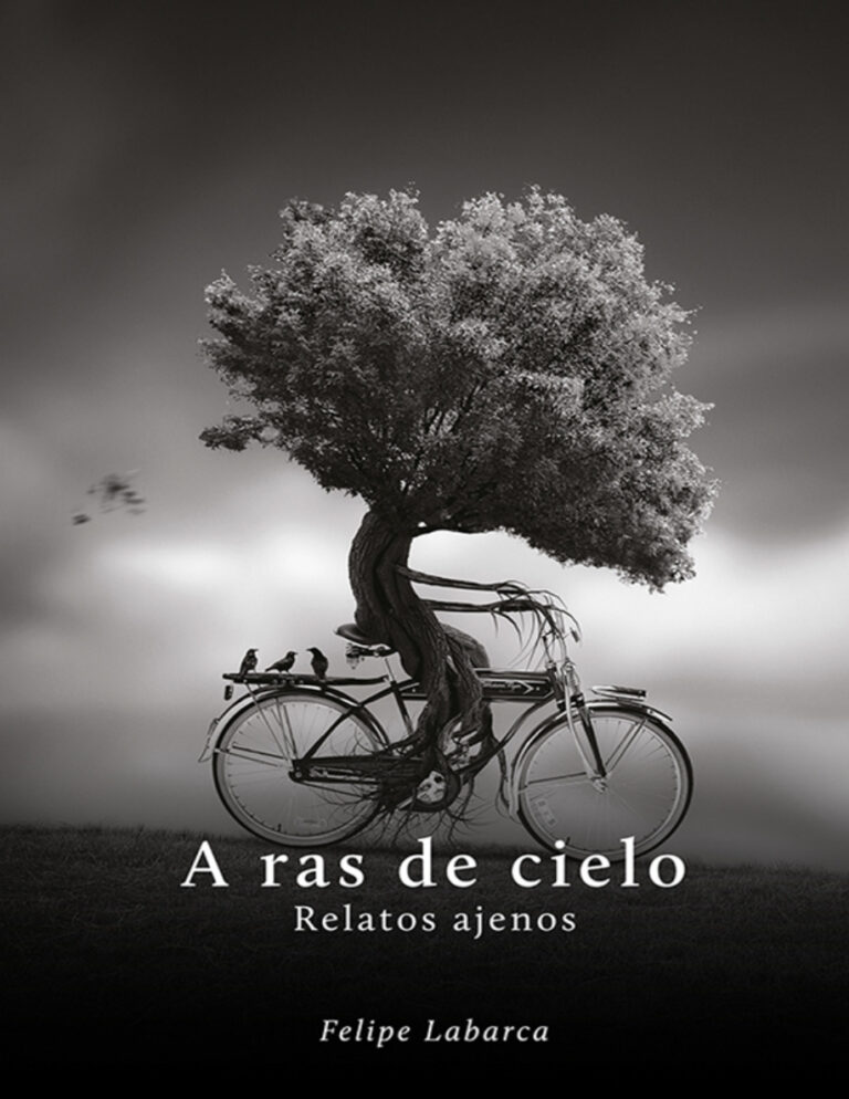 A ras de cielo Spanish Edition Felipe Labarca Kitap Kapağı