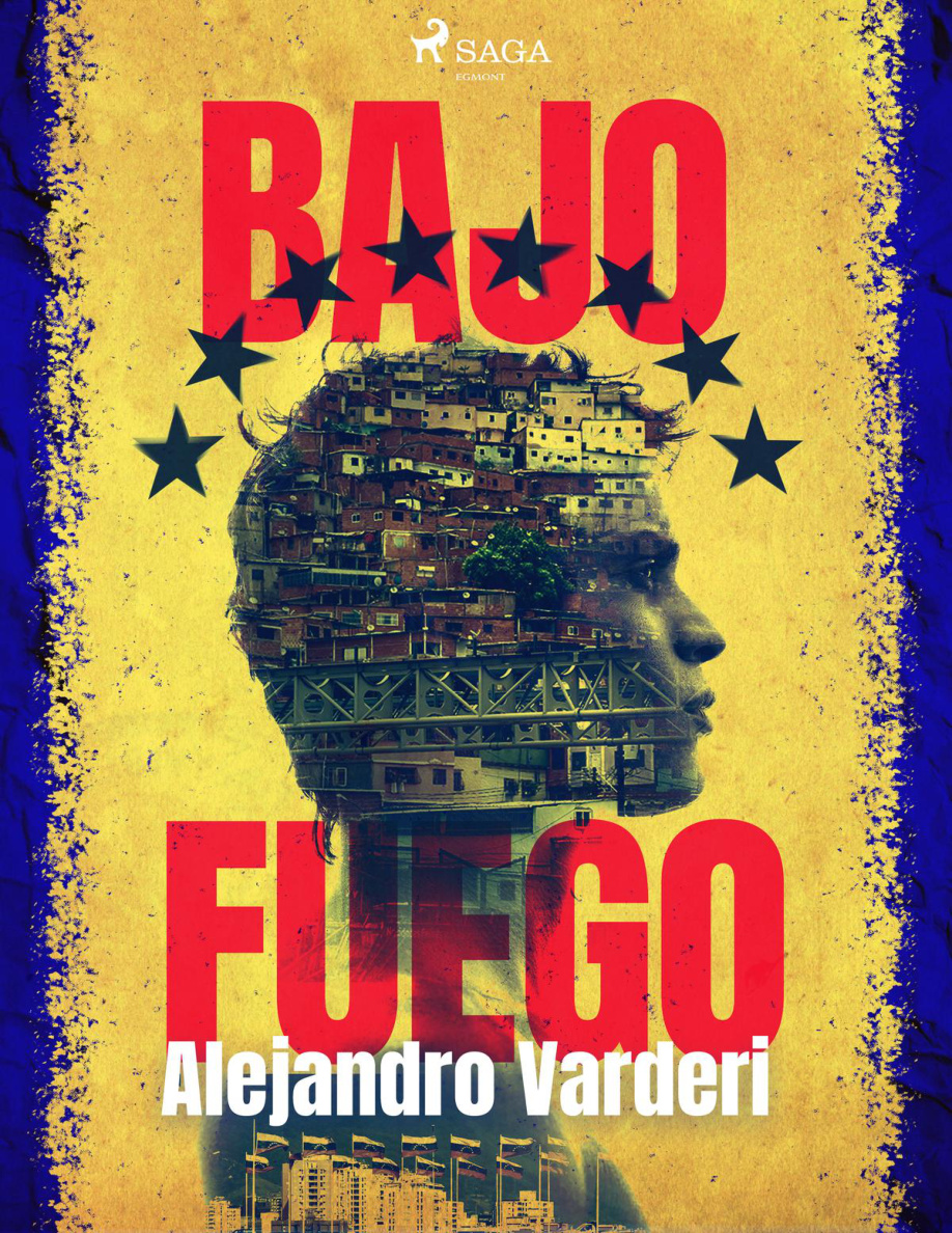 Bajo fuego PDF Download
