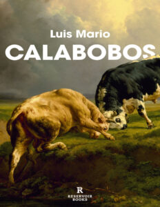 Calabobos Spanish Edition Luis Mario Kitap Kapağı