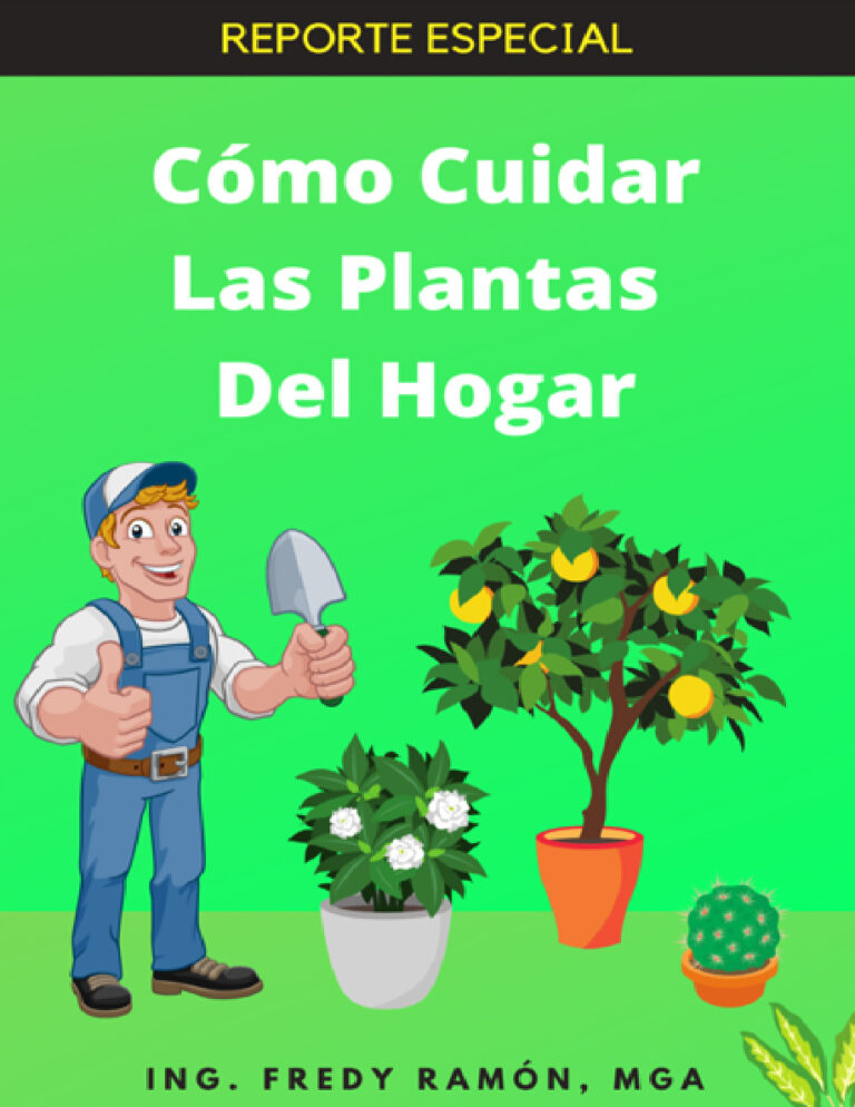 Como Cuidar las Plantas del Hogar Spanish Edition Fredy Ramon Kitap Kapağı