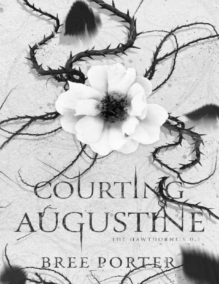Courting Augustine PDF Download