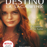 DESTINO Spanish Edition Ava Corrigan Kitap Kapağı