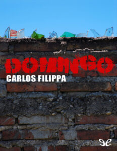 DOMINGO Spanish Edition Carlos Filippa Kitap Kapağı